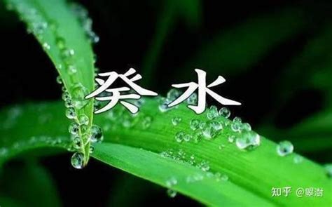 癸水命|癸水生于辰月 癸水命是什么命